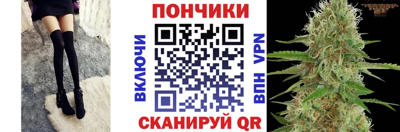 Бошки Шишки ГИДРОПОН Инза